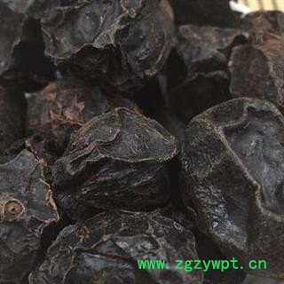 广枣 统 产地 广西壮族自治区图3