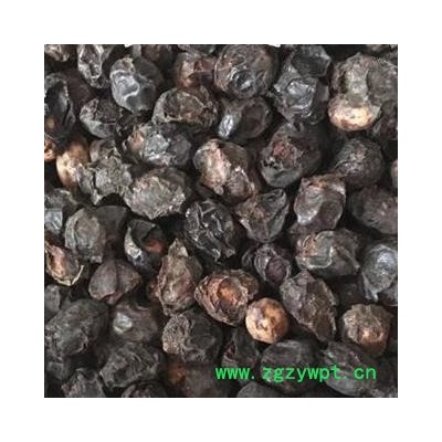 广枣 统 产地 广西壮族自治区