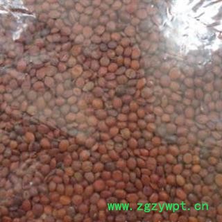 中药材酸枣仁仁别名枣仁、酸枣核、山枣仁、酸枣、酸枣核、酸枣子、北酸，棘仁 产地河北 品种齐全 安国中药材市场批发零售诚图2