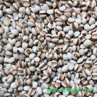 中药材薏苡仁 产地贵州 海外 本品是新货无硫初级农产品 去粗求精人工精选切无污染 无添加 自然原色 规格齐全 安国中药材批发零售大全图3