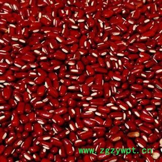 赤小豆中药材 赤小豆统货 产地 河北省安国市场批发零售大全图2