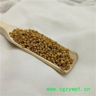 黄芥子 统 产地 山东省图4