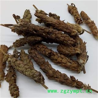 新货批发 夏枯草 夏枯球白花草棒槌草1000g夏枯草图4