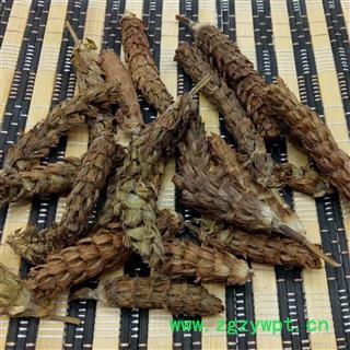 新货批发 夏枯草 夏枯球白花草棒槌草1000g夏枯草图3