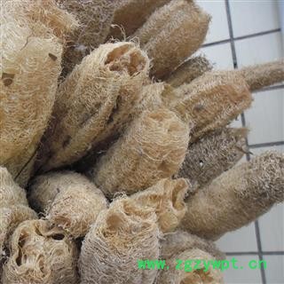 《满198包邮》丝瓜络 丝瓜络 统丝  纯净无加 产地 山东省图2