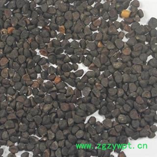 《满198包邮》黑丑  牵牛子黑丑统货 产地 山东省图2