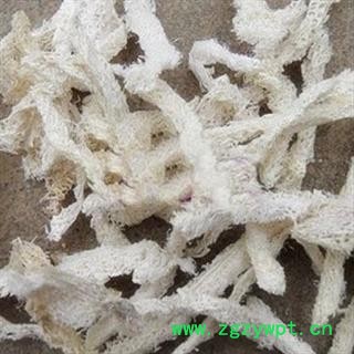 丝瓜络 统 产地 河北省沧州市市辖区图2