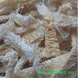 丝瓜络 统 产地 河北省沧州市市辖区图3