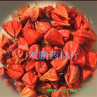 锦灯笼 统 产地 广西壮族自治区玉林市市图3