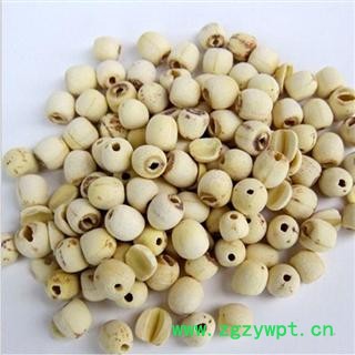 莲子 统 产地 湖南省 库存 500公斤图3