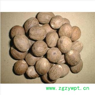 肉豆蔻 选 产地 海南省海口市市辖区图2