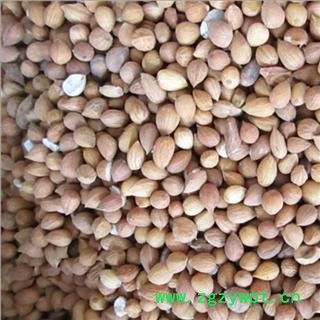 苦杏仁 统 产地 河北省保定市北市区 库图3