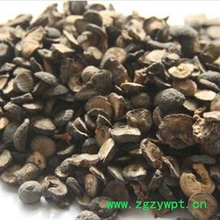 枳实 统 产地 浙江省舟山市市辖区图3