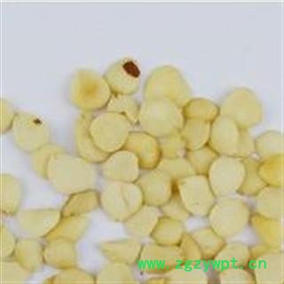 去皮苦杏仁 统 产地 河北省保定市市辖区图3