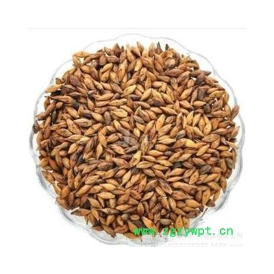 麦芽 炒 产地 安徽省亳州市市辖区