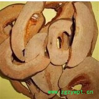 木瓜 统 产地 安徽省亳州市谯城区图2