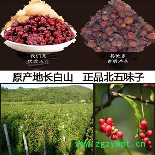 中药材批发 辽五味 五味子 北五味子 统 产地 辽宁省辽阳市市辖区 库存 50000公斤可售图3