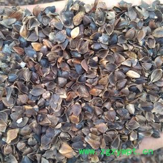 荞麦壳 统 产地 内蒙古自治区赤峰市市辖图2