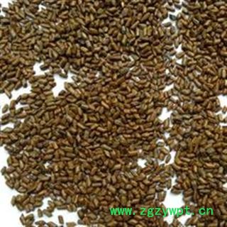 决明子 统 产地 海外老挝图3