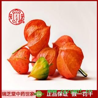 金灯笼统货 新疆挂金灯 药典正品 中药材 瑞芝堂产地直供1000克 规格齐全 一站购齐图4