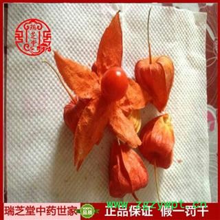 金灯笼统货 新疆挂金灯 药典正品 中药材 瑞芝堂产地直供1000克 规格齐全 一站购齐图3