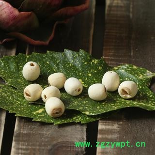 取芯白莲子 无硫湘莲去芯 磨白莲干货瑞芝堂产地直销1000克药典正品 规格齐全 一站购齐图4