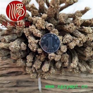 党参无硫中条1公斤起批散装甘肃产地直供川蜀山农中药材批发图3