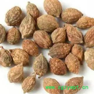 中药材益智仁 本品无硫无染色 药材地道 手工甄选 色泽自然 药香浓郁 规格齐全 安国中药材批发零售大全图4