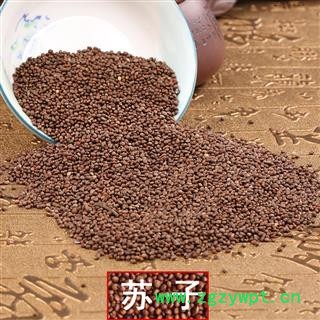 煜庭药业 紫苏子 炒紫苏子 炒苏子 紫苏籽 优质图4