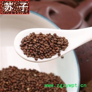 煜庭药业 紫苏子 炒紫苏子 炒苏子 紫苏籽 优质图3