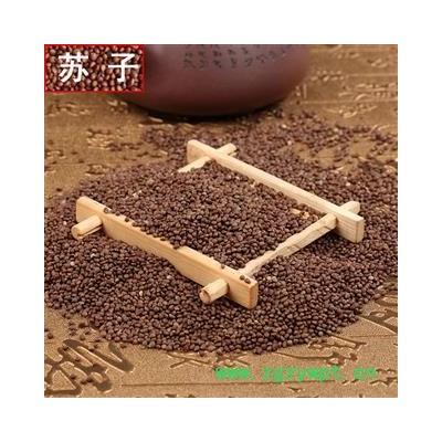 煜庭药业 紫苏子 炒紫苏子 炒苏子 紫苏籽 优质