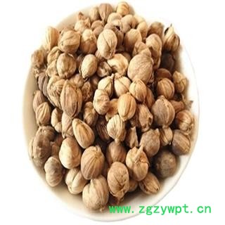 煜庭药业 白豆蔻 白寇 白扣 正品图3