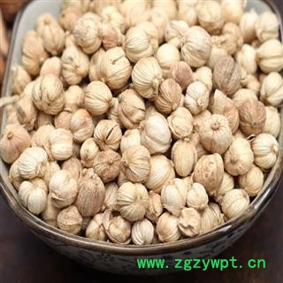 煜庭药业 白豆蔻 白寇 白扣 正品图4