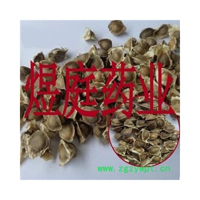 煜庭药业 辣木籽