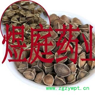 煜庭药业 辣木籽图4