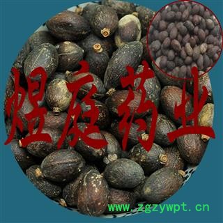 煜庭药业 蒲葵子 蒲葵籽图2