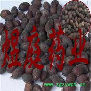 煜庭药业 蒲葵子 蒲葵籽图3