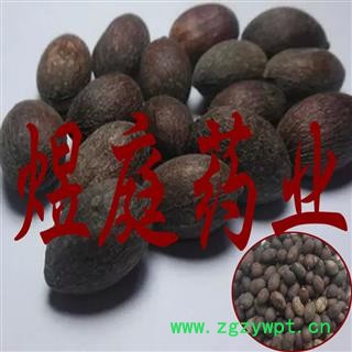 煜庭药业 蒲葵子 蒲葵籽图4