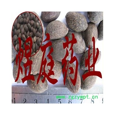 煜庭药业 蒲葵子 蒲葵籽