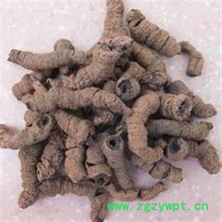 巴戟天 巴戟肉抽芯选装大货批发价 产地 广西壮族自治区图2