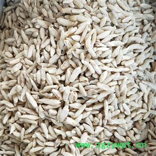 麦冬个 川麦冬精选一级 产地 四川省绵阳市图2