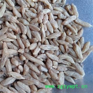 麦冬 麦冬一级货 产地 四川省图2