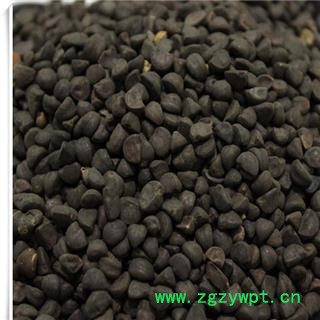 瑞森药材行牵牛子 黑丑 新货 二丑 另有白丑 喇叭花 姜姜籽图2