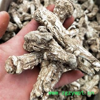 当归个 当归水洗，脱皮，光头大个 产地 甘肃省图3