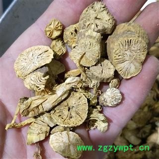 金果榄片1000克促销批发 金果榄统装片 产地 四川省巴中市图3