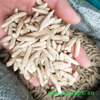 麦冬 麦冬精选特级货 产地 四川省图2