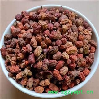 瑞森药材行红豆蔻 红蔻 良姜子 红扣 红寇 肉豆 小红寇图2