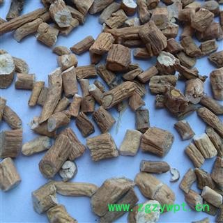 板蓝根片1000克促销批发价 板蓝根小选 产地 安徽省亳州市谯城区图2