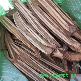 瑞森药材行秋葵 黄秋葵蜀葵荚 蜀葵豆角 蜀葵果 秋葵果 毛茄 黄秋葵 六角豆 羊角豆图2