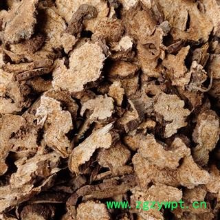 苍术 苍术片 产地 内蒙古自治区图2